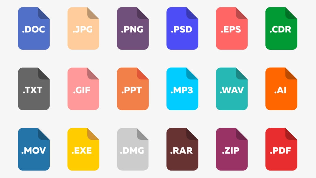 Common File Types